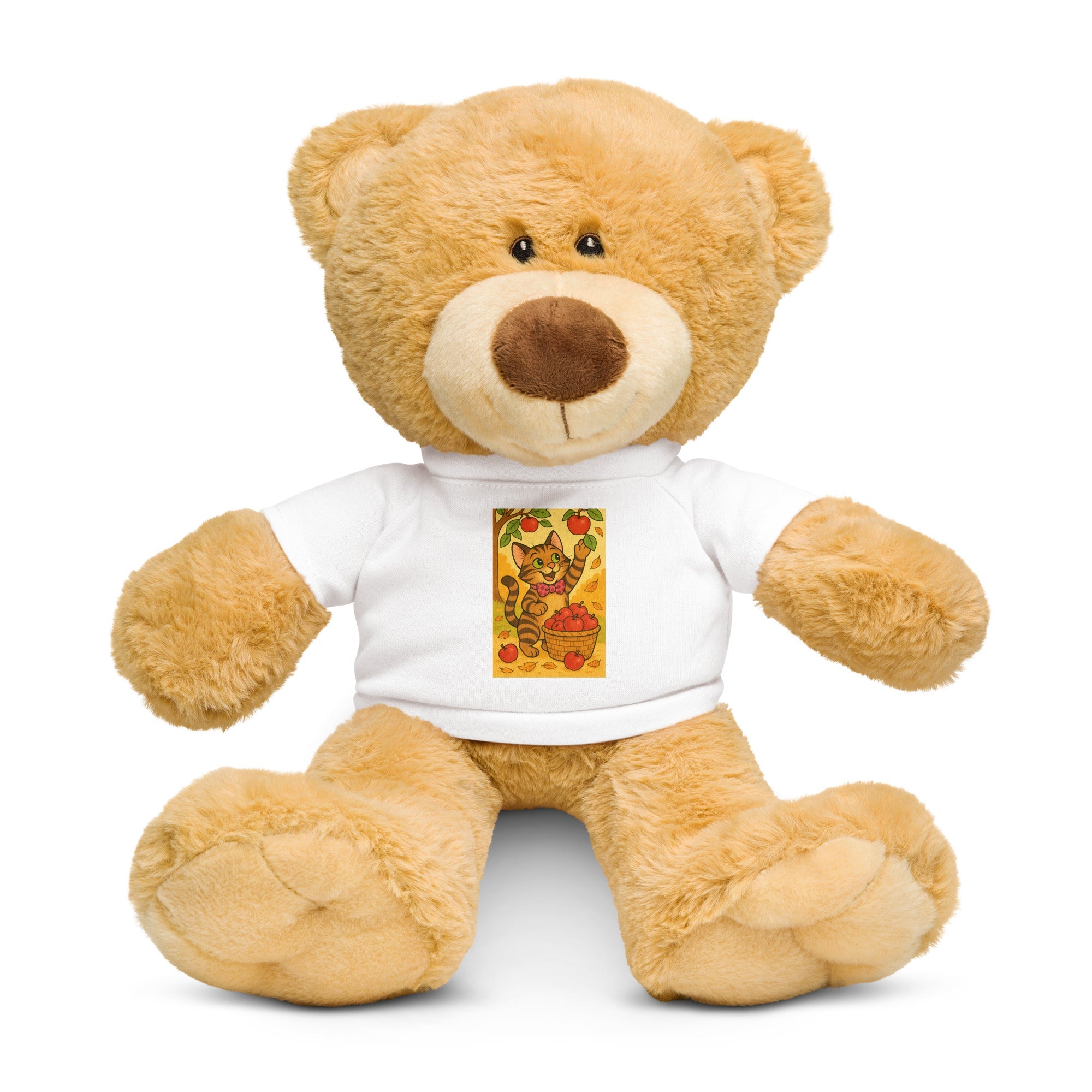 Bob the Cat Teddy bear with a t-shirt