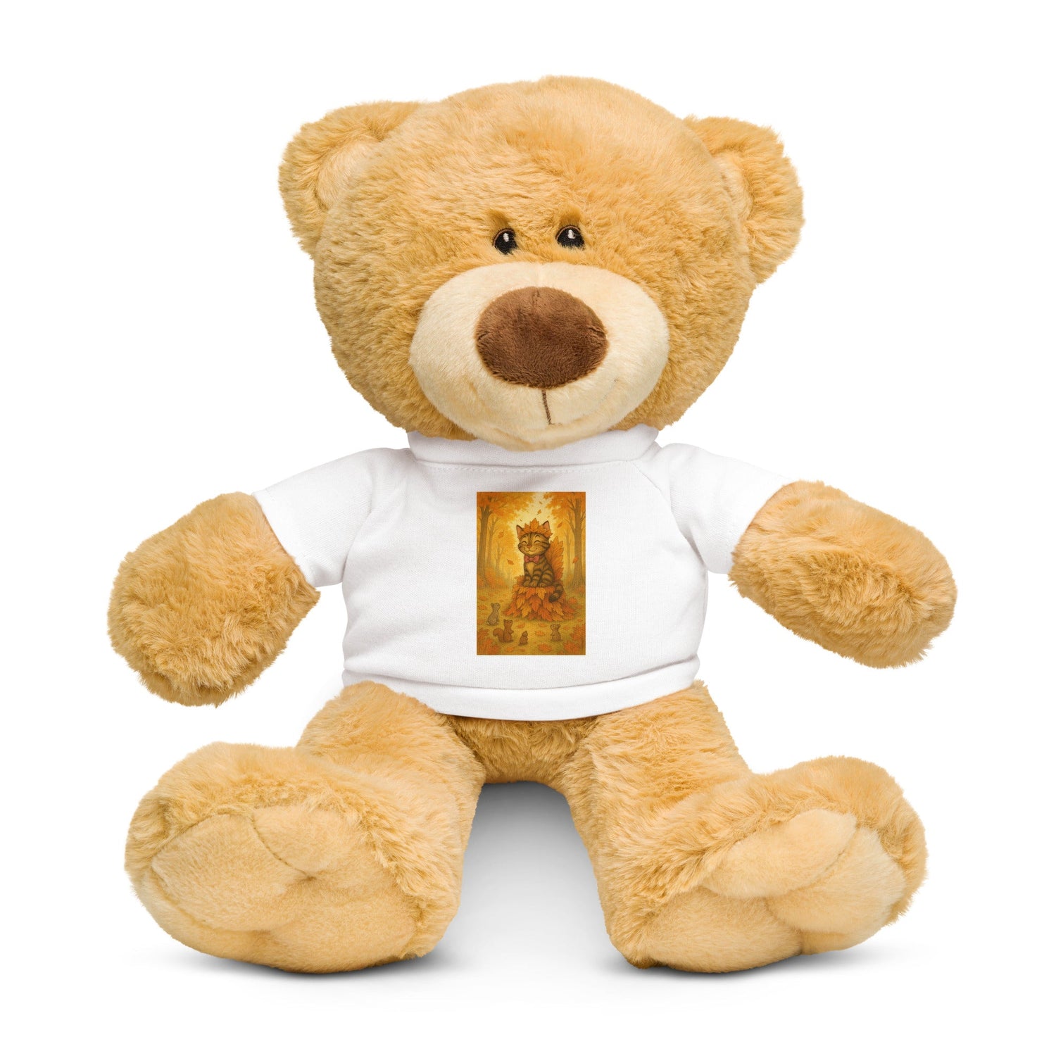 Bob the Cat Teddy bear with a t-shirt